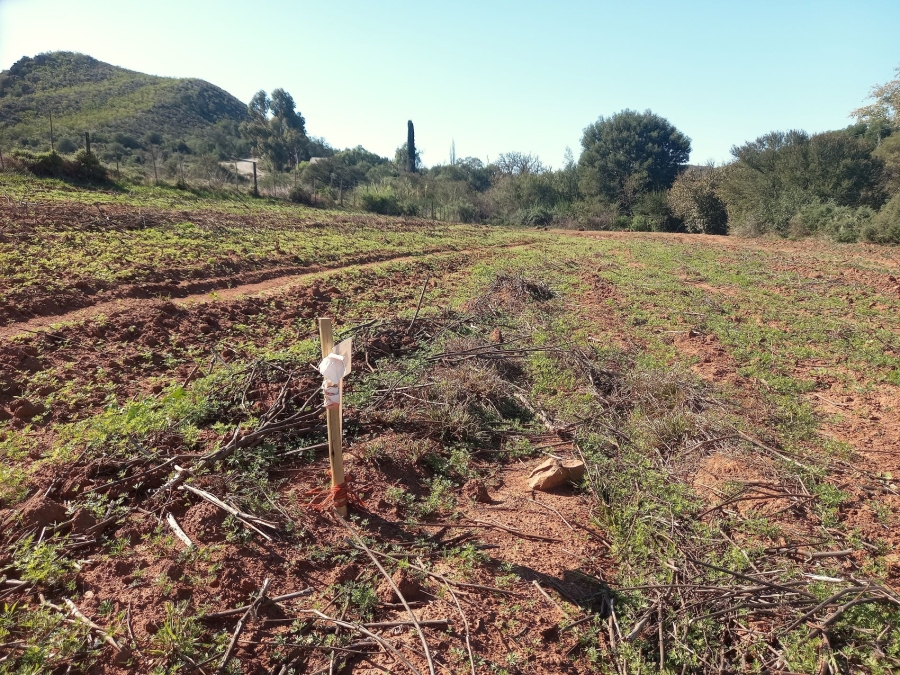 Commercial Property for Sale in George Rural Western Cape